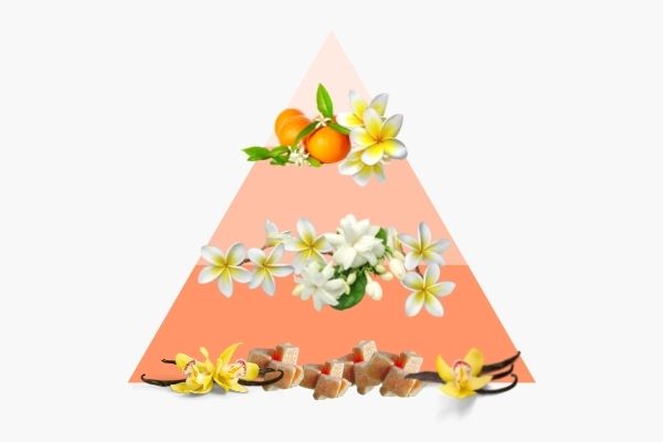 Pyramide olfactive Fleur de Monoï